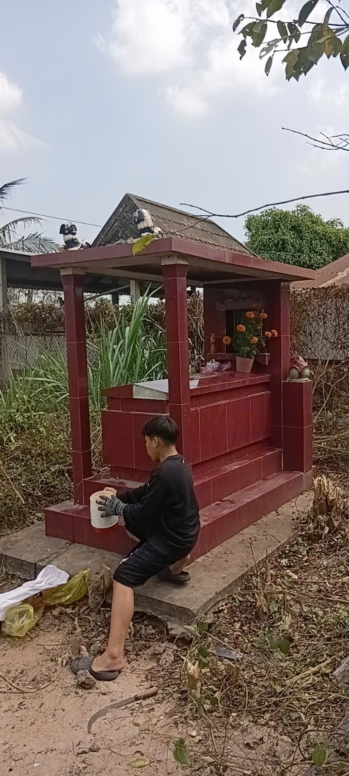 Dọn dẹp nhà cửa